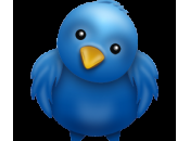 Twitter pourrait lancer concurrent Twitpic