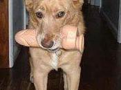 Autodéfense féministe