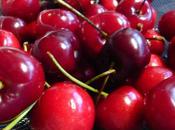 journée pour repenser façon manger