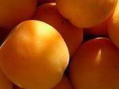 Connaissez vous bien abricots?