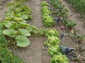 motte avec Geneviève Gérard, juin 2011