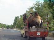 Maximiser potentiel votre véhicule