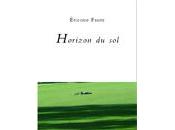 Horizon sol, d'Etienne Faure (par Antoine Emaz)