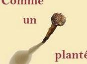 Bertrand Runtz Comme clou planté dans page