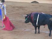 comme... Tauromachie petit aparté photographie)