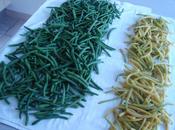Congeler haricots verts frais
