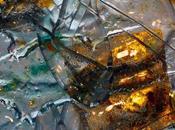 Expo "L'Europe l'arbre magique; était fois..."