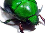 Ecoles quand formulaire unique ligne familles nombreuses