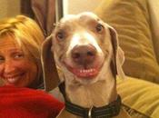 Quelques images insolites (Vol