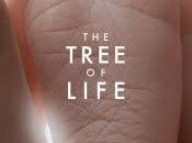 Tree Life Review