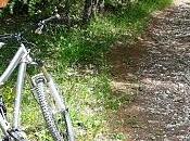 voithure pour Vallon...