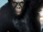 Nouvelle bande annonce pour Planète singes origines
