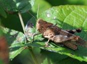 Rencontre nocturne faveur lumière salon