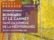 Pierre Bonnard Dans lumière Méditerranée Musée Cannet