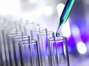 libre-échange comme accélérateur progrès technique