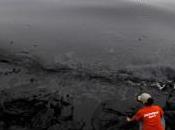 Chine prise flagrant délit marée noire