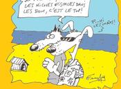 niches fiscales faites pour chiens