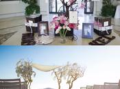 l’arbre mariage sous toutes formes