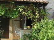 Quelques jours d'absences pour bonne cause