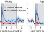 MÉMOIRE: Comment perdre et…la retrouver? Nature