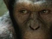 Week-End Planète singes origines” démarre fort, 54M$.