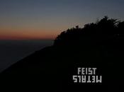 retour Feist avec nouvel album nouveau titre Come Never There