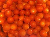 Tarte tomates cerises