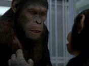J’ai testé: Planète singes: origines cinéma