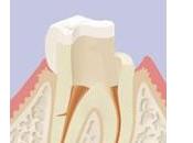 Trouver endodontiste