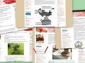 Conseils pour l'arrosage rempotage plantes l'entretien bouquets vase