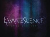 Evanescence What want