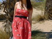 Flamants Roses plage