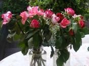 Cinq Bordelais sont passés Lille