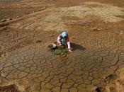 Lutte contre désertification sécheresse