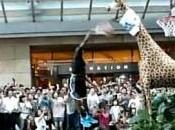 Dwight Howard dunk girafe