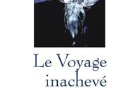 Serge Bimpage, Voyage inachevé