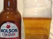 Molson Canadian, Lager qualité
