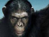 planète singes origines, film Rupert Wyatt