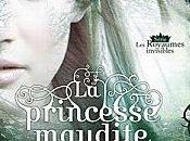 royaumes invisibles Tome princesse Maudite Julie Kagawa