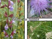 pause, septembre 2011