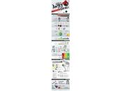 infographie pour Angry Birds