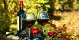 livres pour découvrir vins issus l'agriculture biodynamie