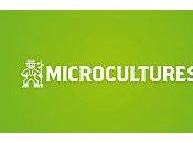 SOLTERO album germe chez Microcultures