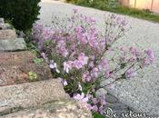 retour parmi vous, septembre 2011