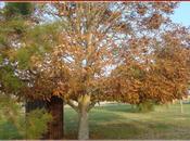 C'est l'automne, septembre 2011