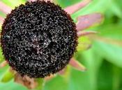 lundi parmi tant d'autres