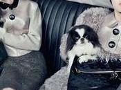 Femme dans 2011 Mémère luxe chien-chien (Vuitton, Moncler)