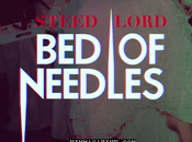 Steed Lord Needles