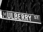 Mulberry loves York dédie Clipper