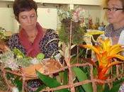 Résultats Coupe Espoir Interflora Morbihan